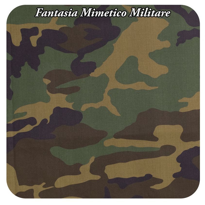 Fantasia Mimetico Militare